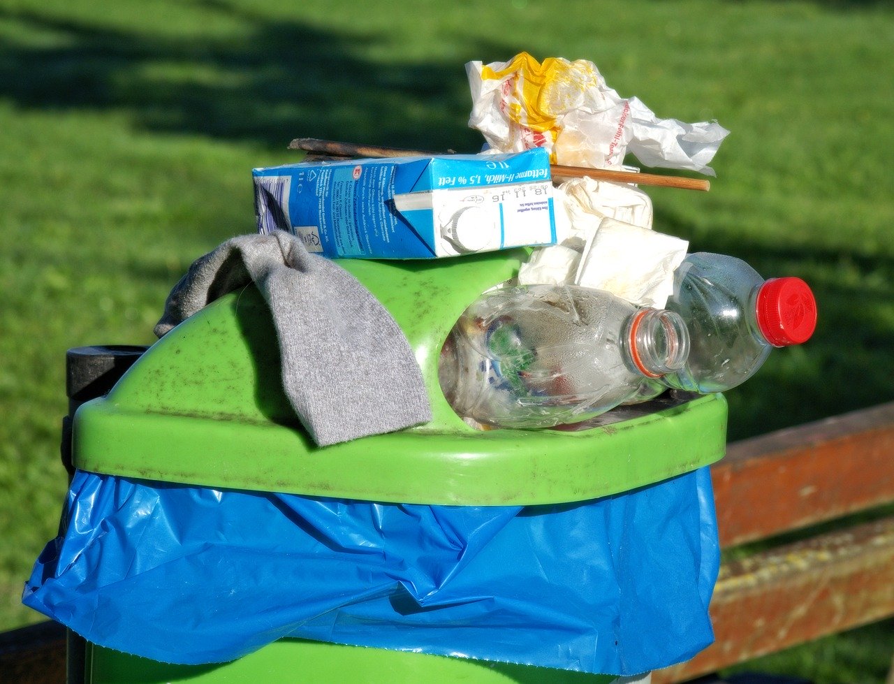 Wywóz śmieci – jak segregować odpady?