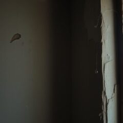 Jak rozpoznać wilgoć od kondensacji w starym domu: praktyczne metody i typowe pułapki diagnostyczne